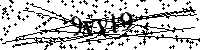შეიყვანეთ სურათზე მითითებული ასოები და ციფრები