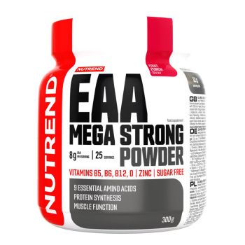 EAA MEGA STRONG POWDER, 300 g, fruit punch