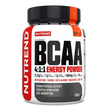 BCAA 4:1:1 ENERGY POWDER, 500 g